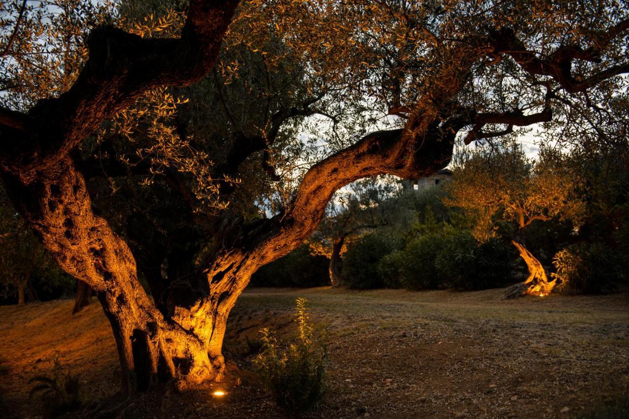Casale Delle Lavande Città Sant'Angelo Buitenkant foto